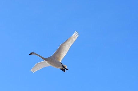 浏览器之家 免费更新维护