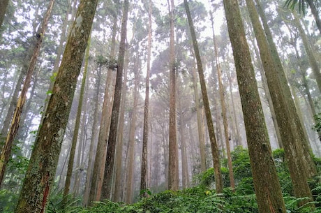 【迷茫管家】详细介绍及使用方法