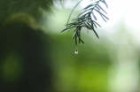 体会人工降雨的原理是什么